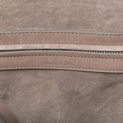 Celine Supple Calfskin Medium Phantom Luggage Taupe 5 of 12