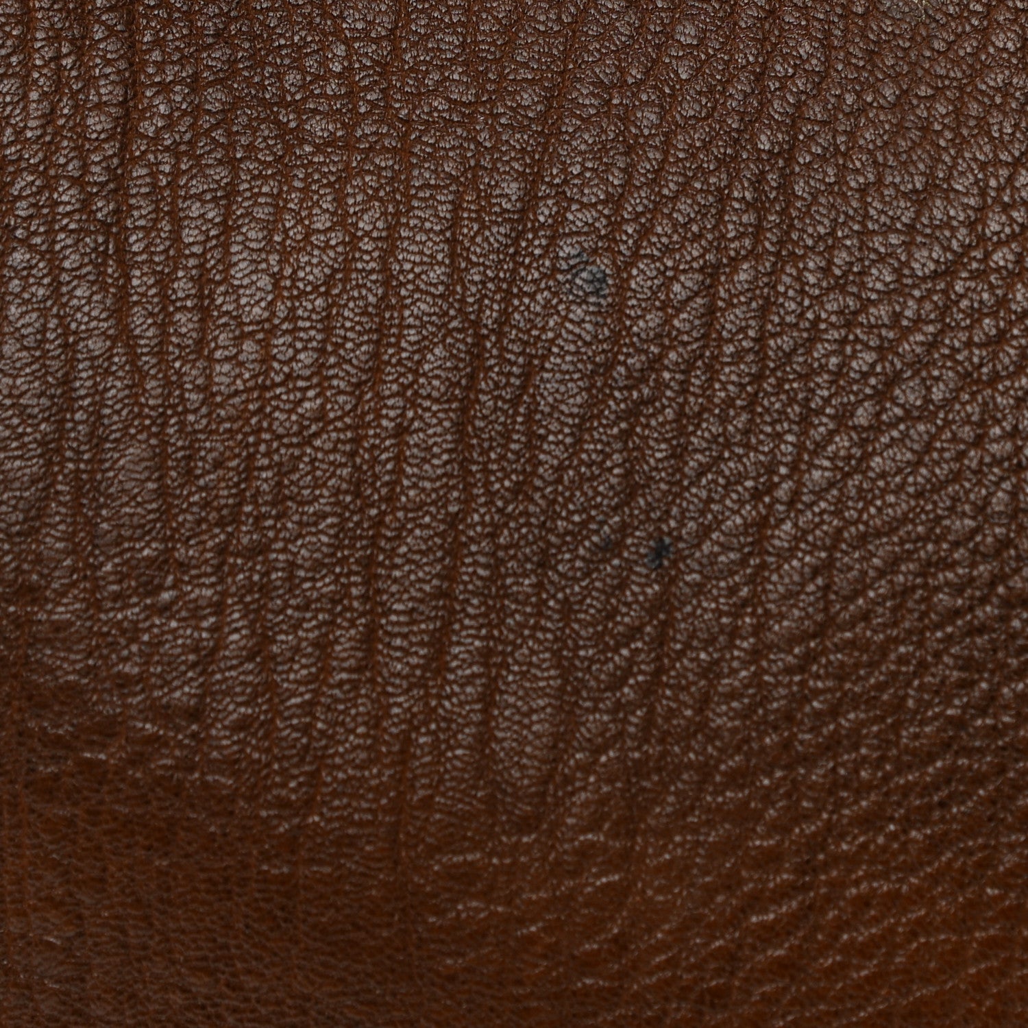Prada Deerskin Tote Bruciato 14 of 21