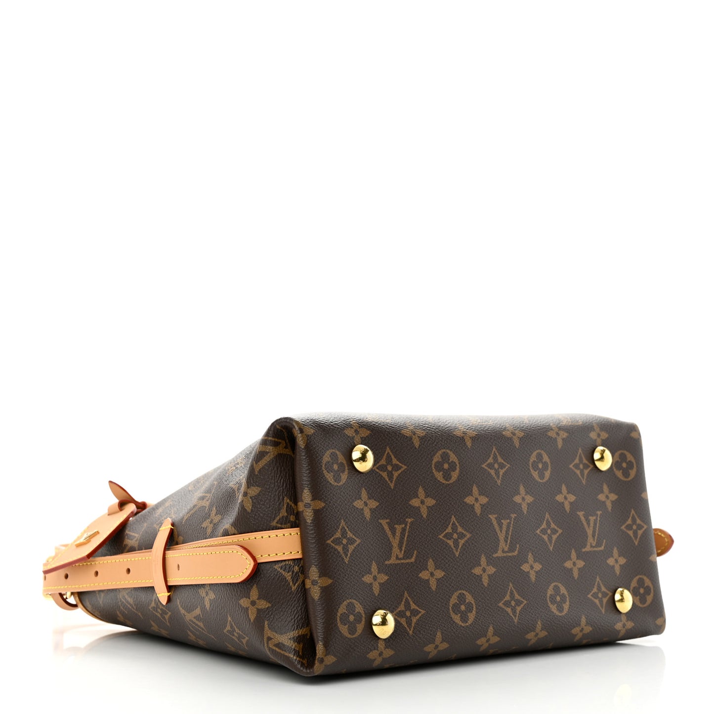 Monogram CarryAll PM