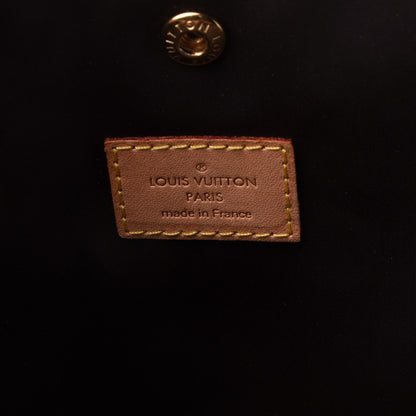 Louis Vuitton Monogram Sac Baxter PM Dog Pet Carrier 5 of 13