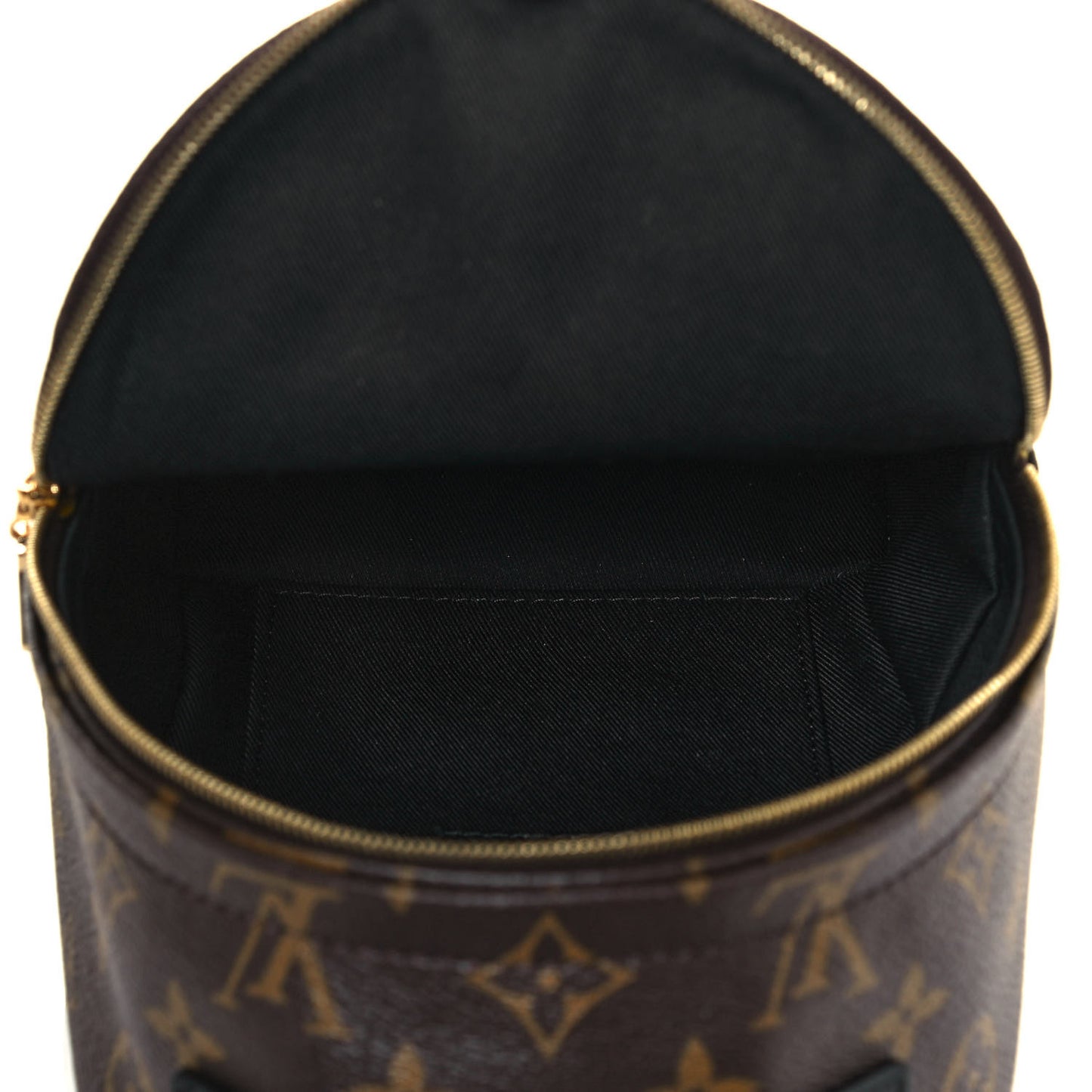 Monogram Palm Springs Backpack Mini