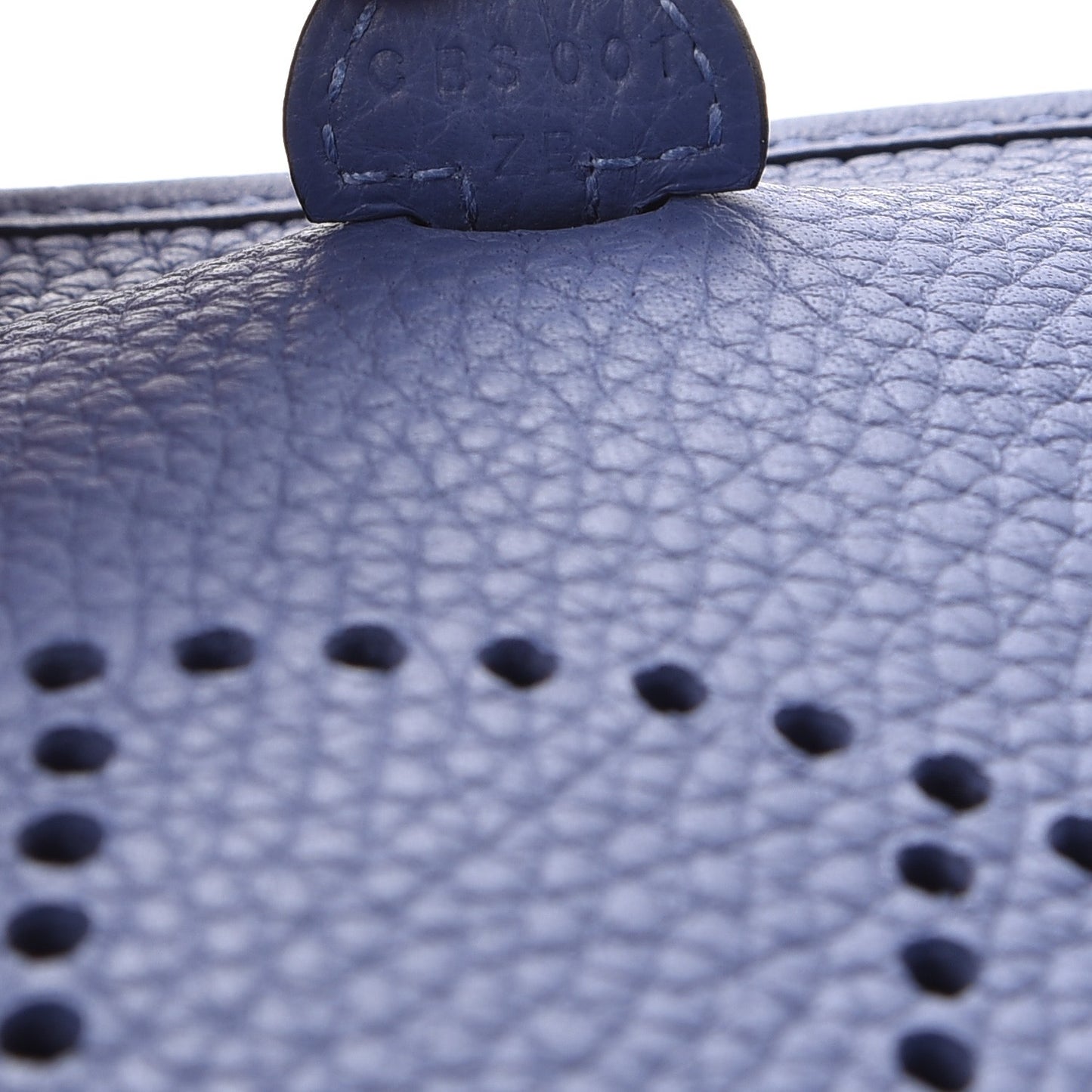Taurillon Clemence Evelyne TPM Bleu Brighton