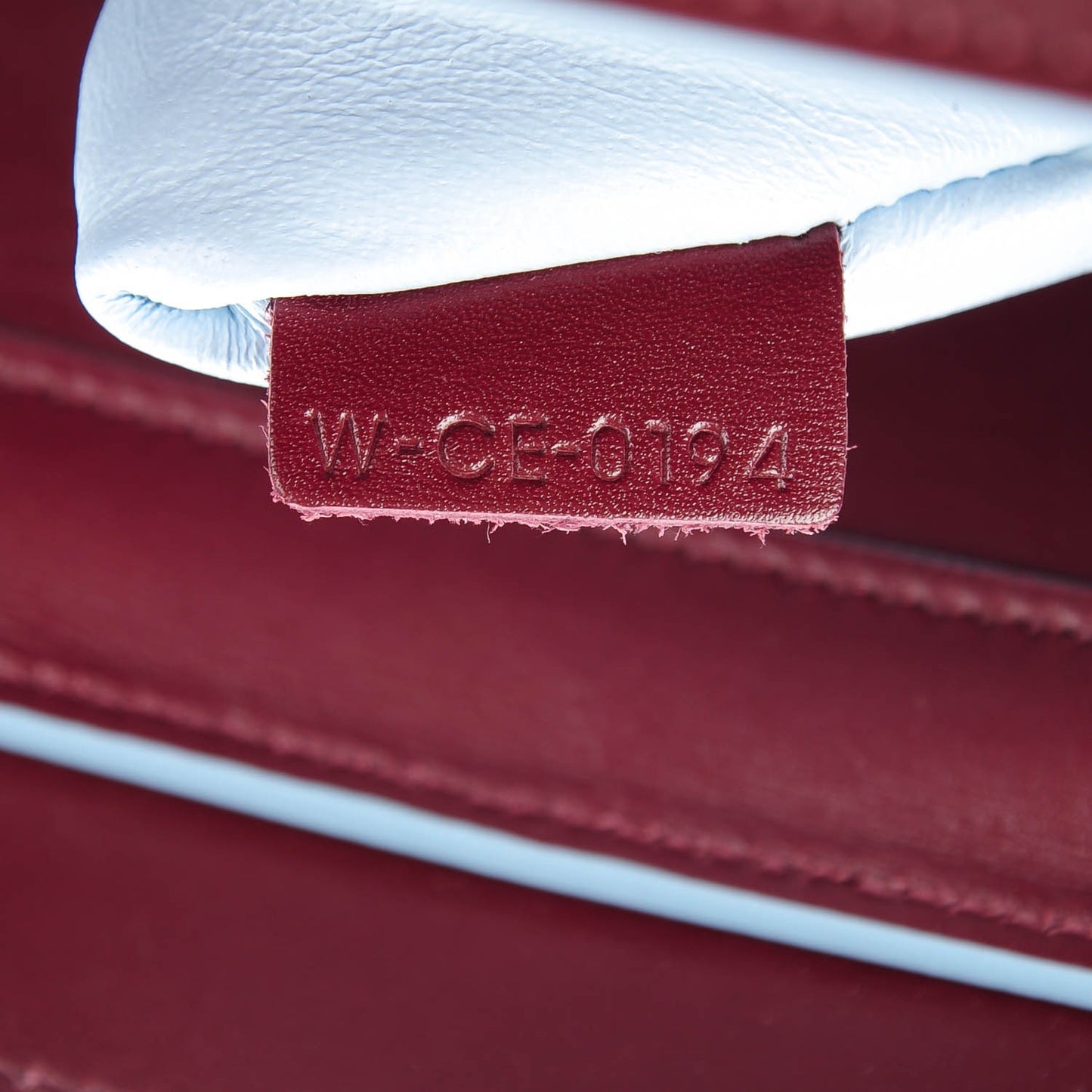Palmelato Micro Luggage Burgundy Azur Blue