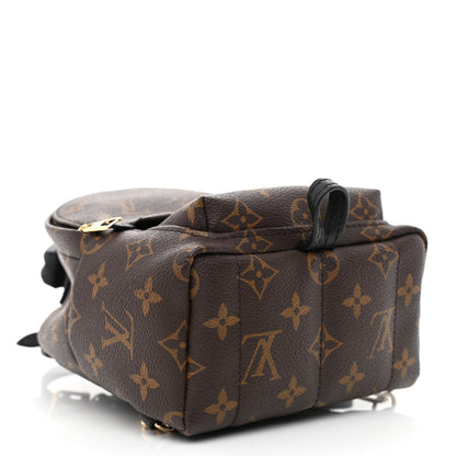 Louis Vuitton Monogram Palm Springs Backpack Mini 4 of 11