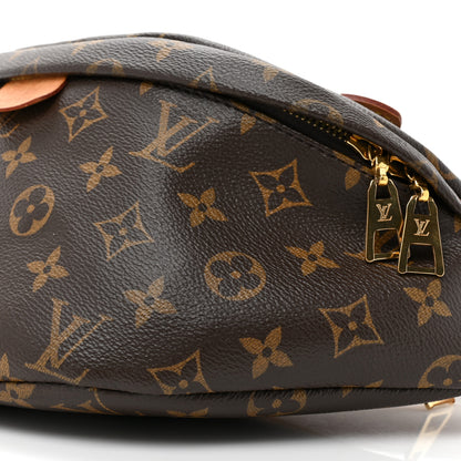 Louis Vuitton Monogram Bumbag 7 of 14