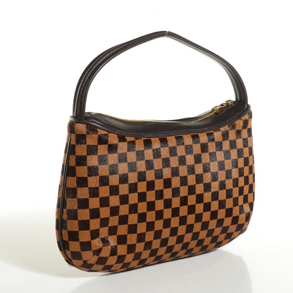 Louis Vuitton Calf Hair Damier Sauvage Tigre 3 of 7