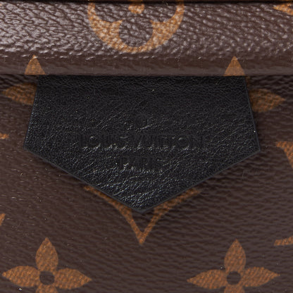 Louis Vuitton Monogram Palm Springs Backpack MM 7 of 8