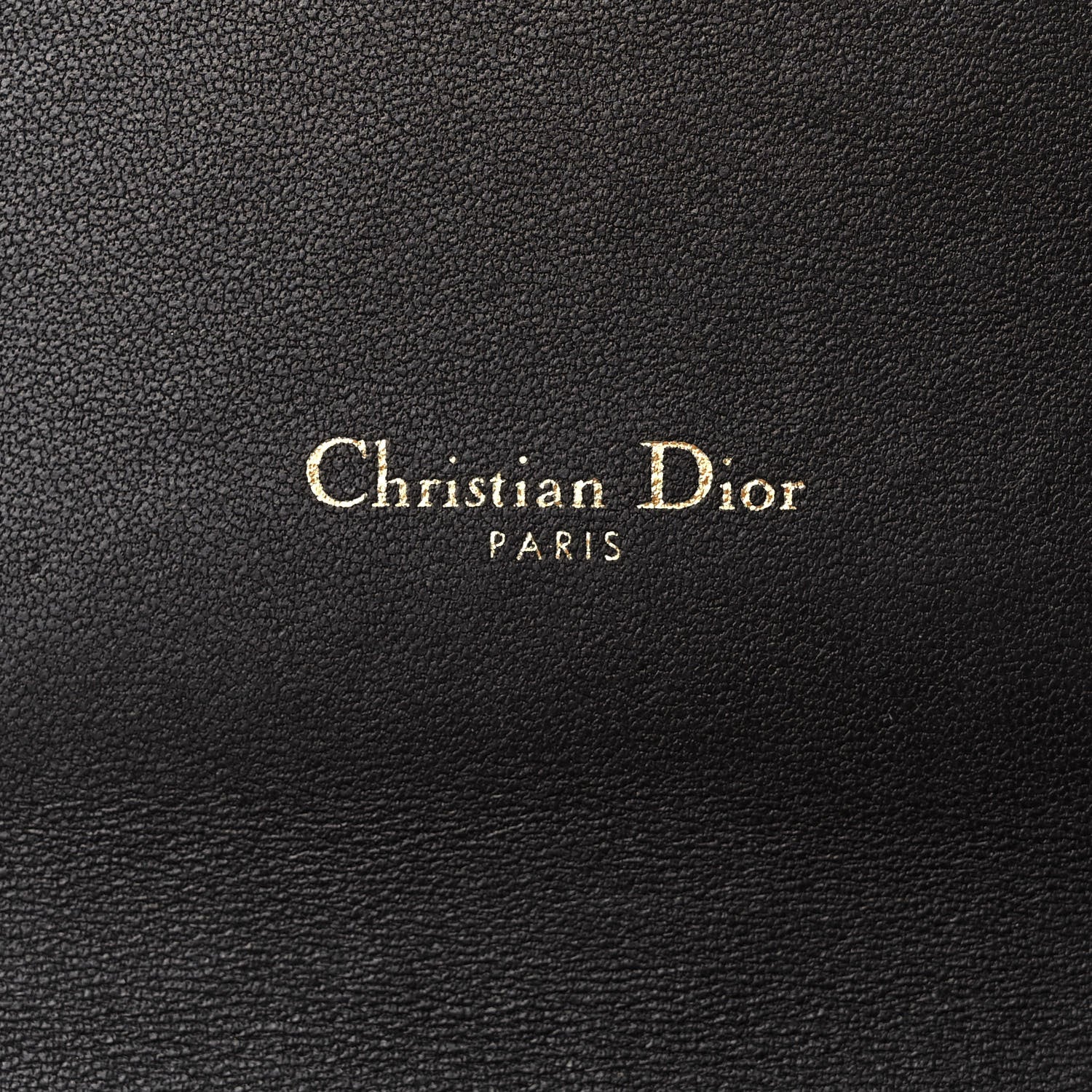 Christian Dior Supple Calfskin Caro Belt Bag Black 6 of 10