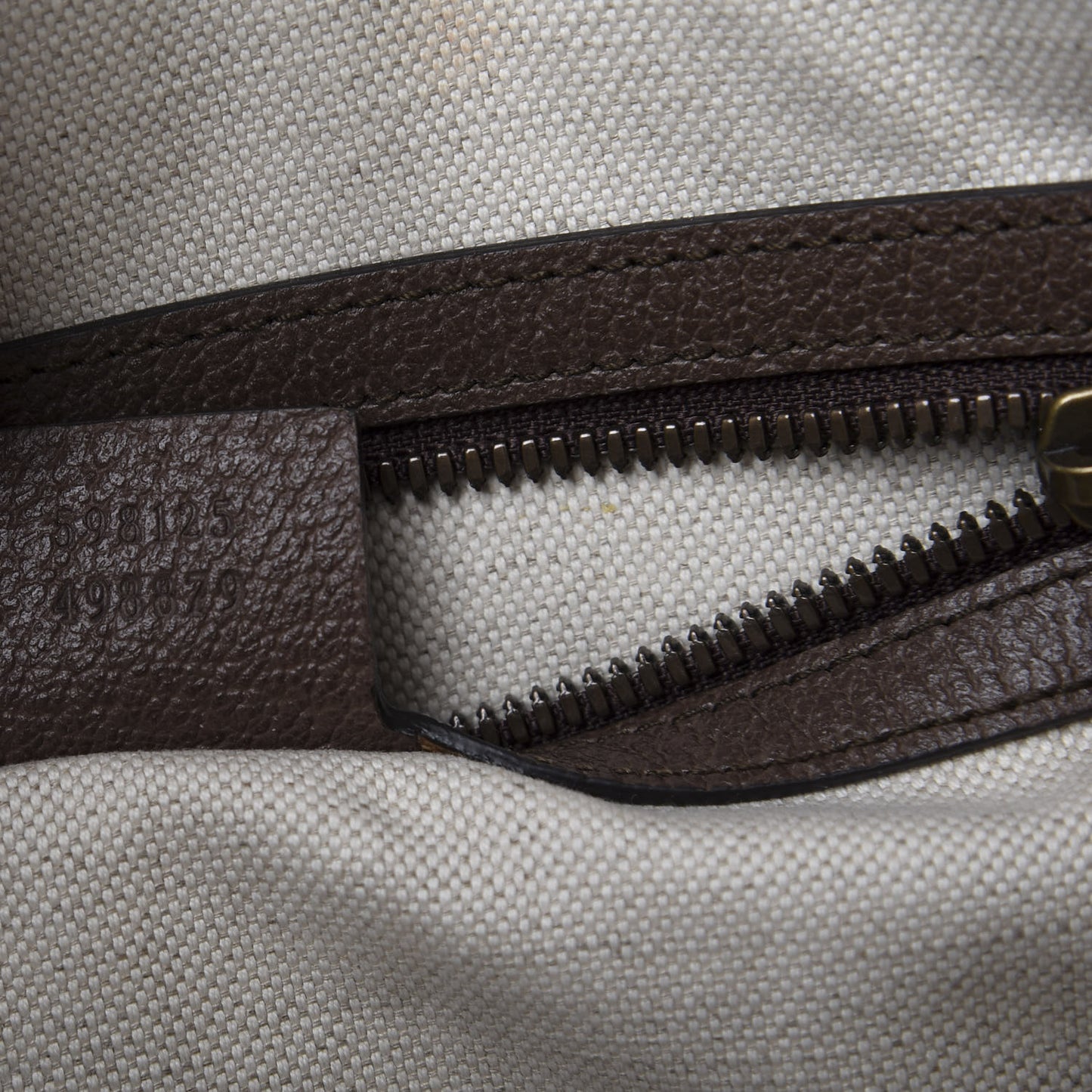 GG Supreme Monogram Web Small Ophidia Half Moon Hobo Brown