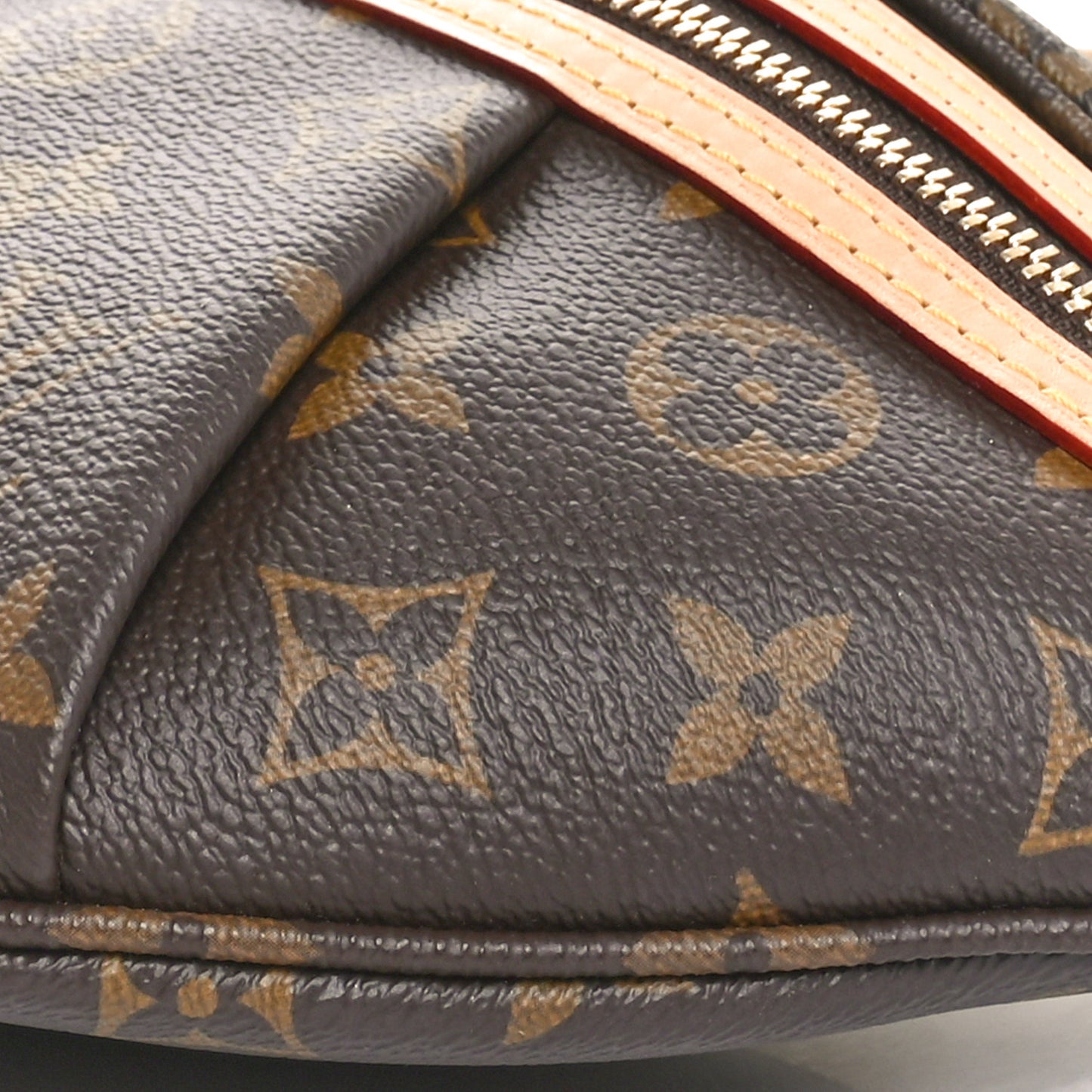 Monogram High Rise Bumbag