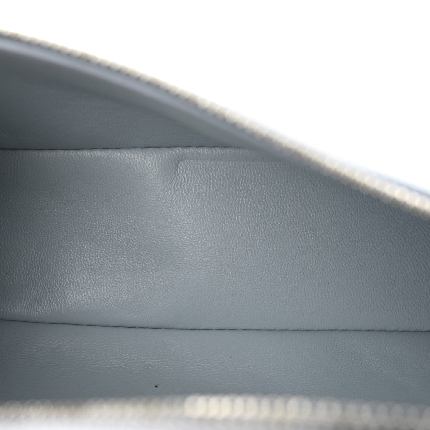 Grained Calfskin L19 Extra Pocket Pouch Minty Breeze