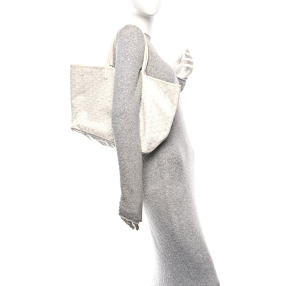 Goyard Goyardine Saint Louis PM White 2 of 11