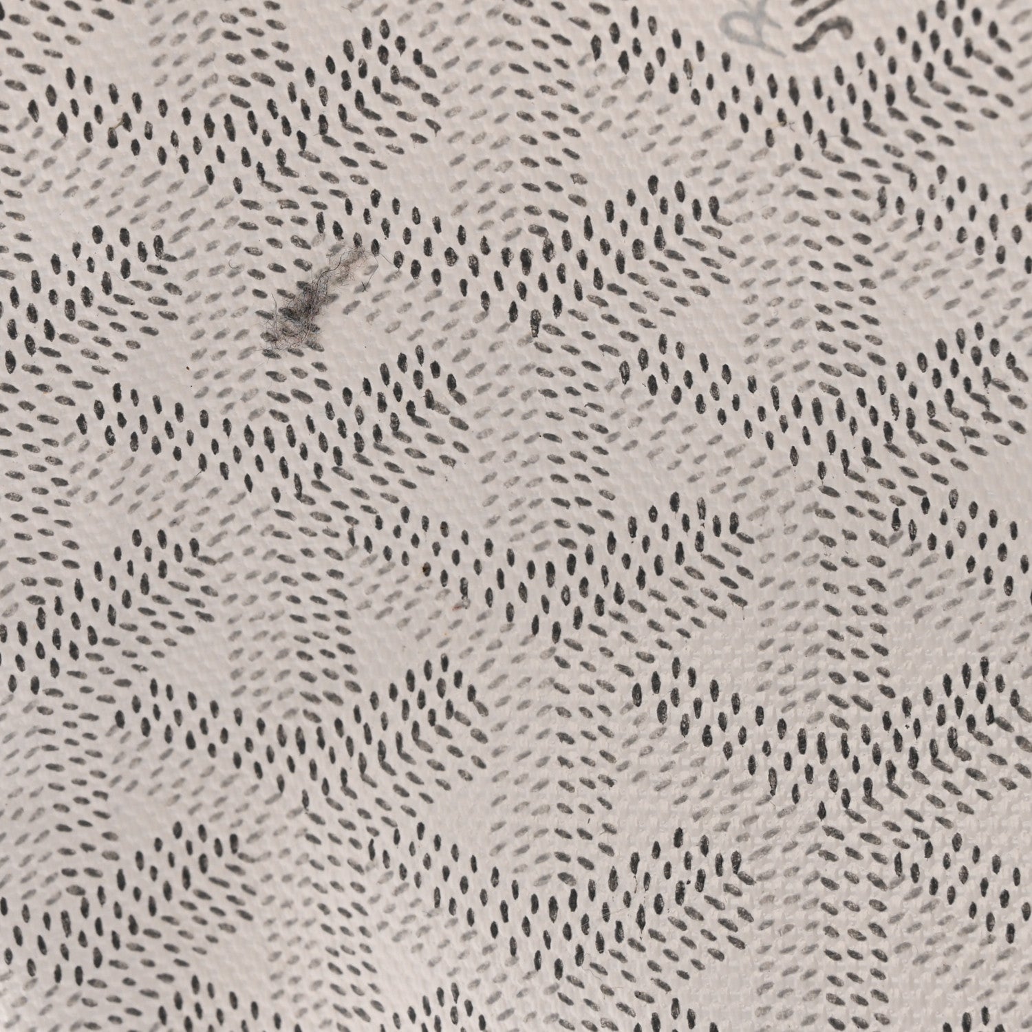 Goyard Goyardine Saint Louis PM White 11 of 12