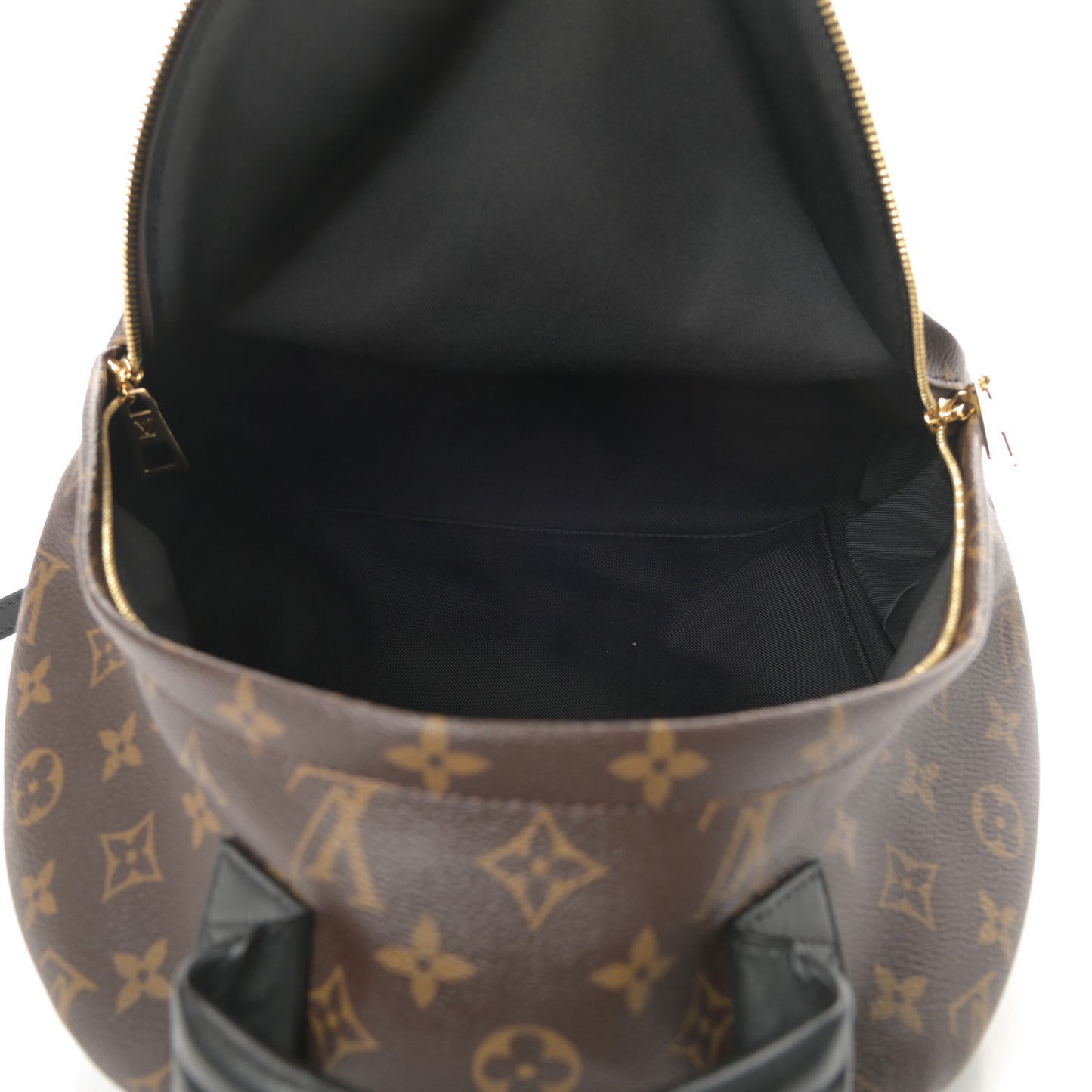Monogram Palm Springs Backpack MM