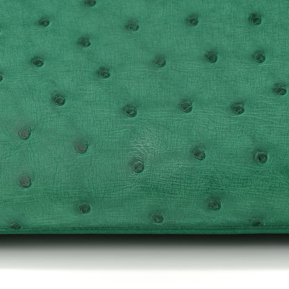 Hermes Ostrich Birkin 30 Vert Vertigo 12 of 15