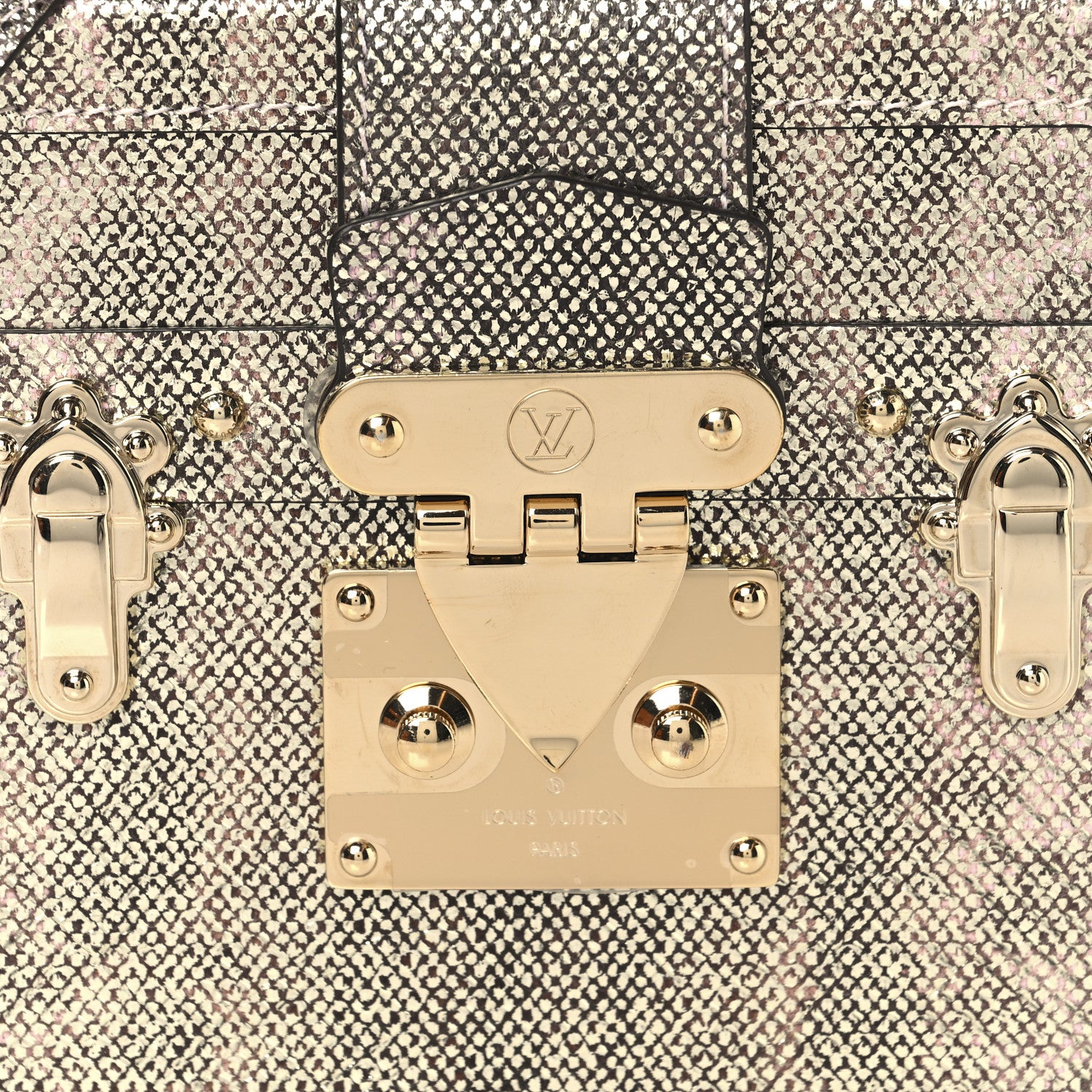 Louis Vuitton Lizard Petite Malle Silver 7 of 12