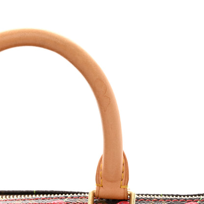 Louis Vuitton Monogram Cerises Speedy 25 15 of 17