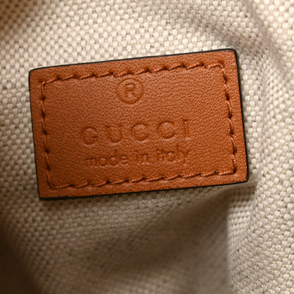Gucci Straw Calfskin Small Logo Bucket Bag Natural Tan 6 of 10