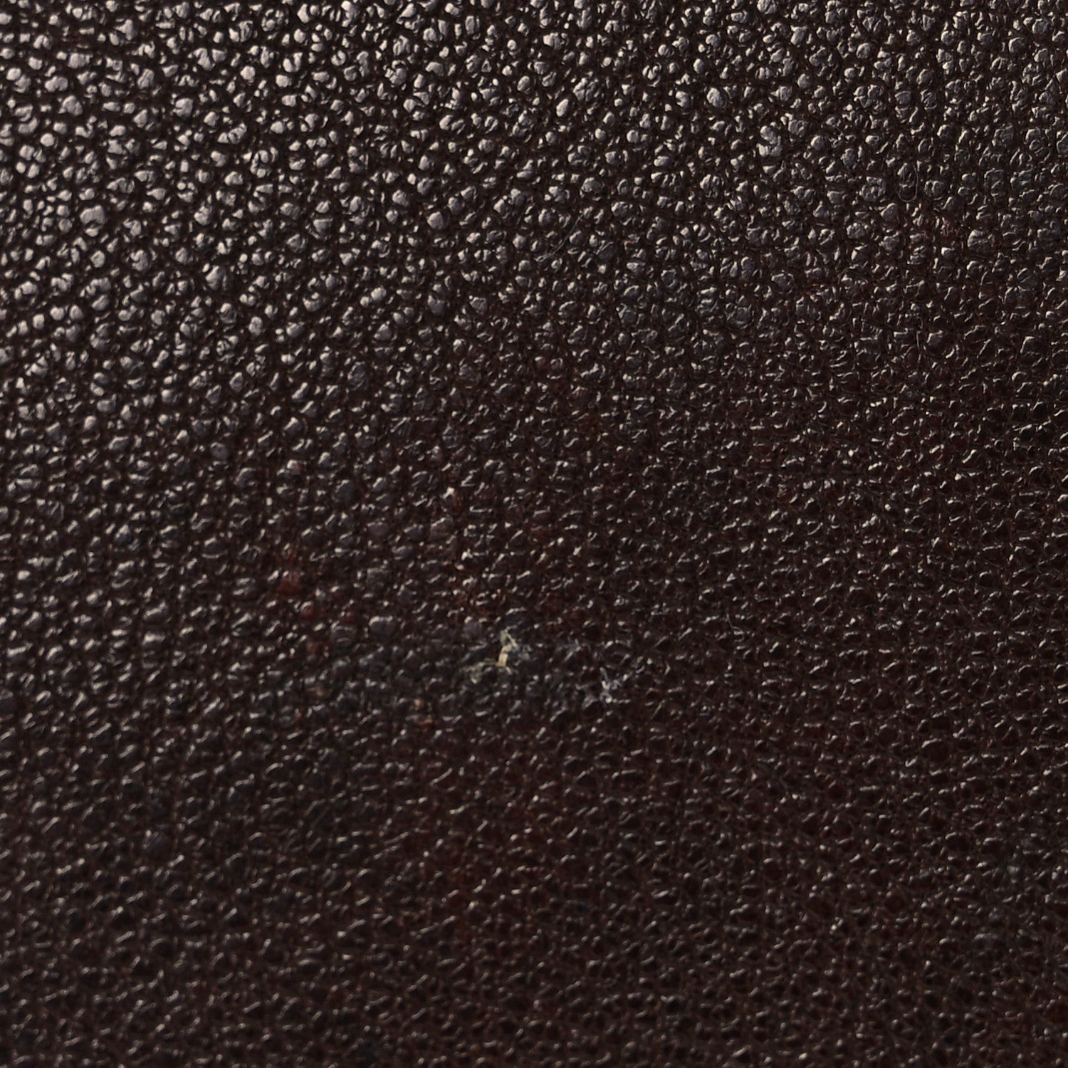 Miu Miu Nappa Aviator Regular Aventure Bag Briarwood 11 of 13