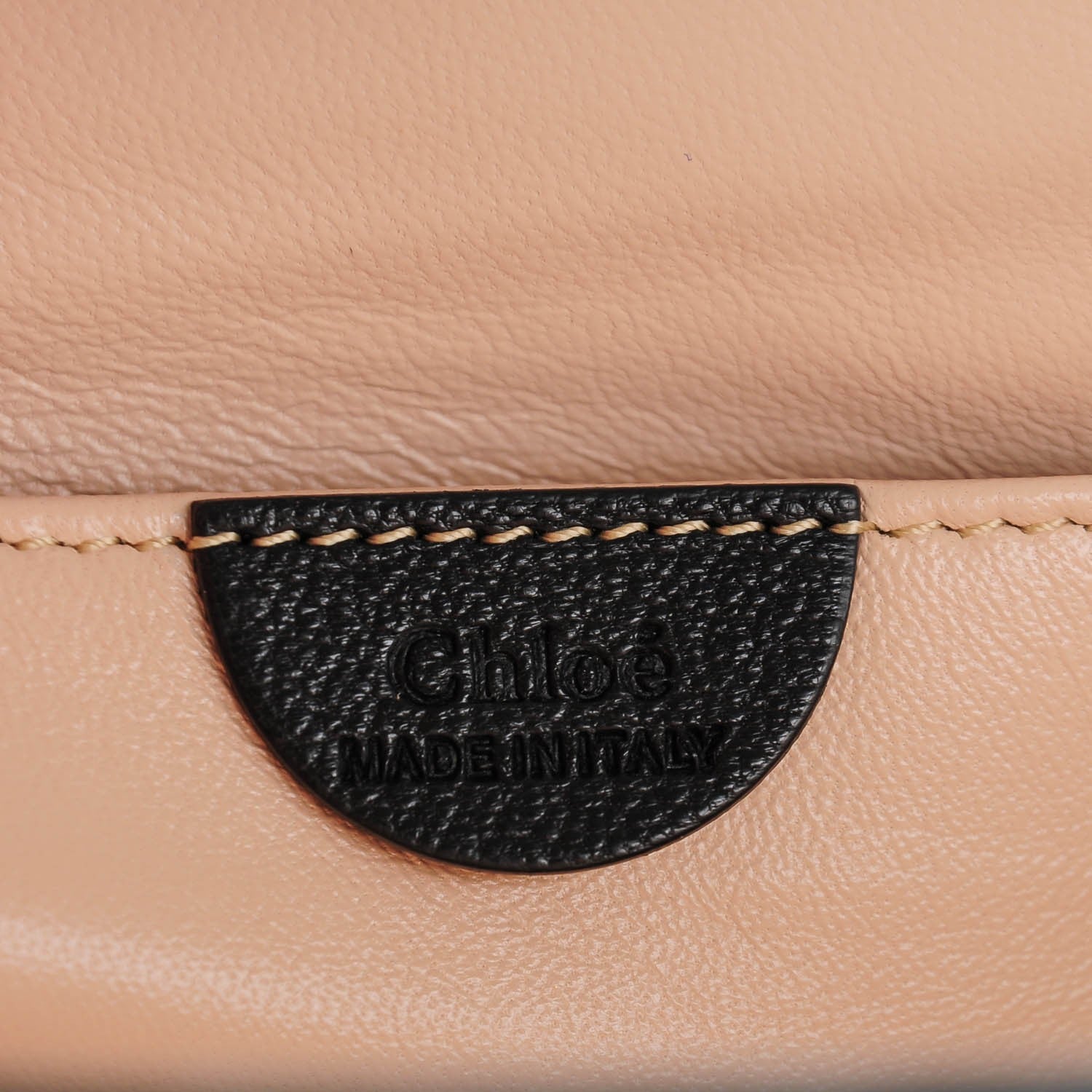 Chloe Goatskin Large Elsie Shoulder Bag Black 5 of 8