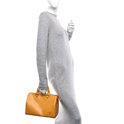 Louis Vuitton Epi Speedy 25 Tassil 2 of 11