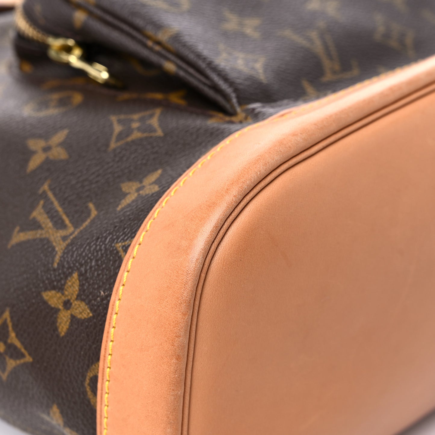 Monogram Montsouris GM Backpack