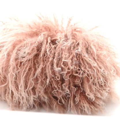 Fendi Monogolian Lamb Cuoio Romano Selleria Frame Bag Cipria 10 of 11