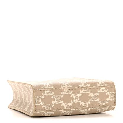 Celine Triomphe Canvas Calfskin Mini Vertical Cabas Grege 4 of 12