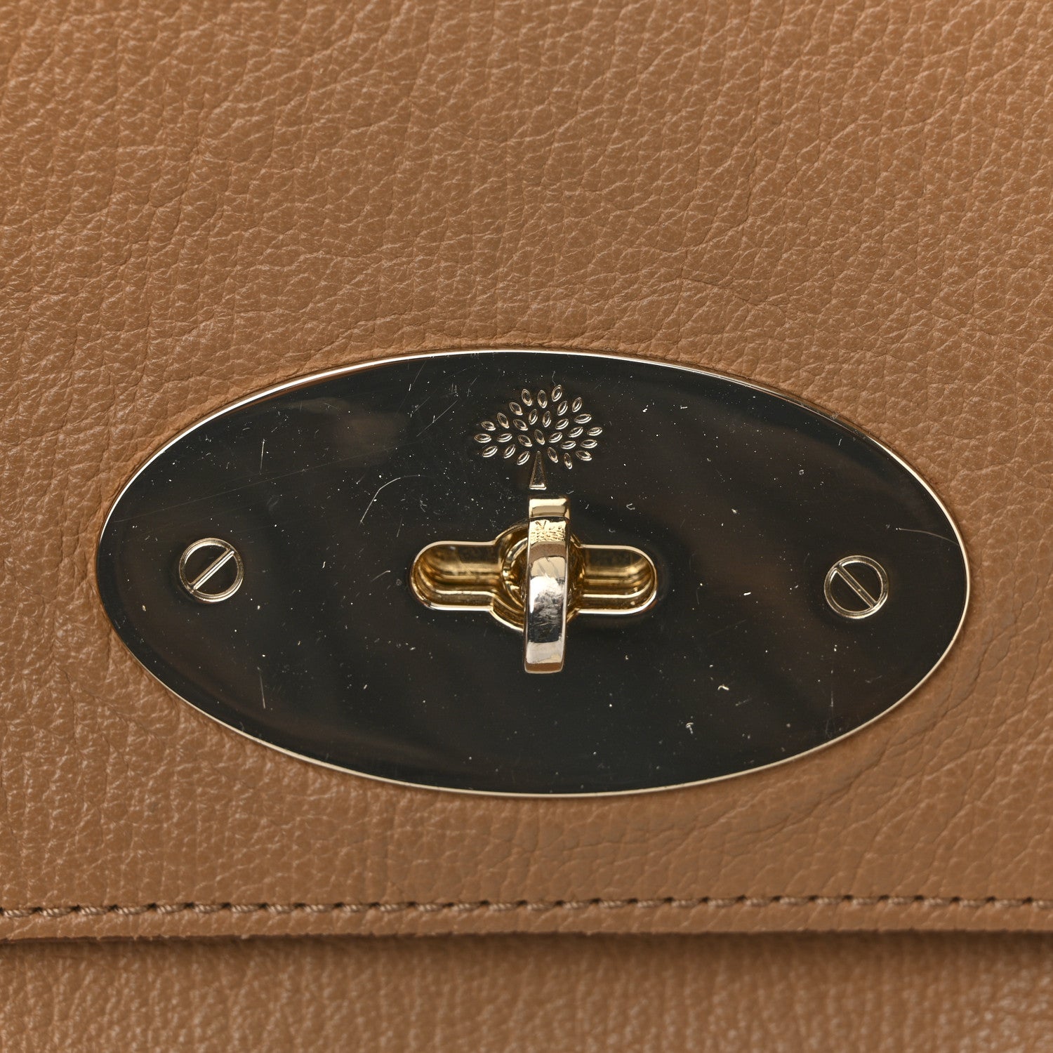 Mulberry Glossy Goatskin Medium Del Rey Satchel Fudge 12 of 16