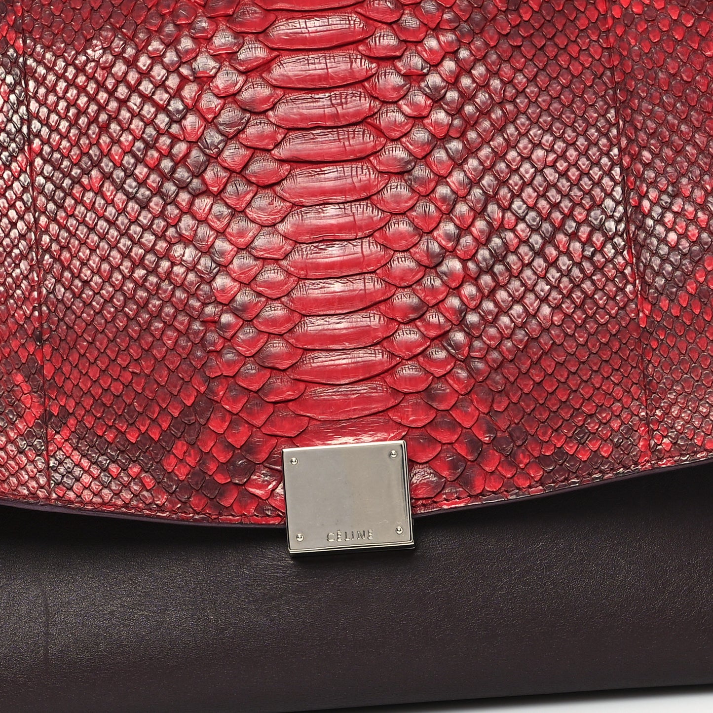 Snakeskin Calfskin Medium Trapeze Wine