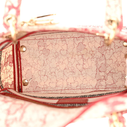 Christian Dior Canvas Embroidered Medium Dioramour D-Royaume Lady D-Lite Red Multicolor 5 of 13