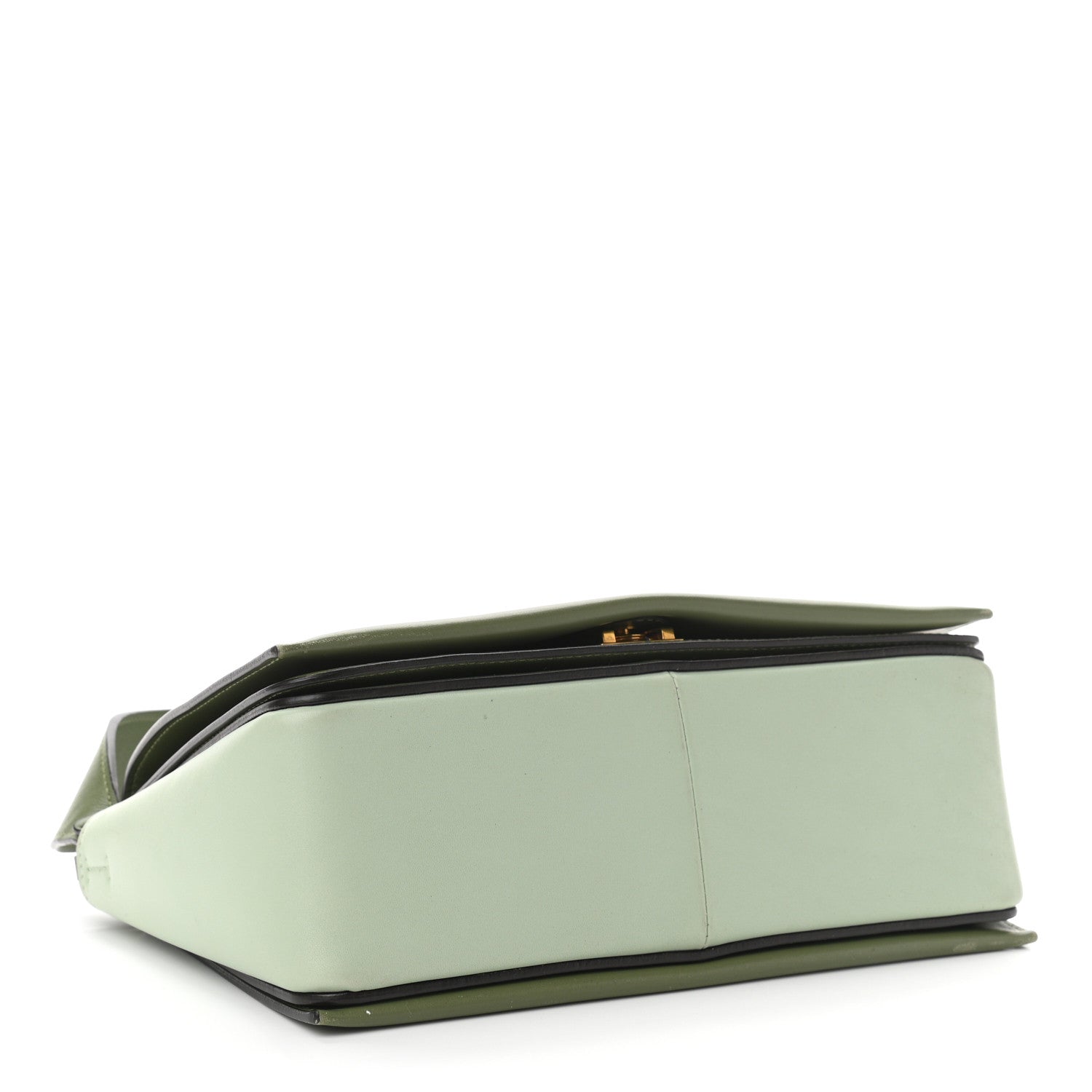 Celine Shiny Smooth Calfskin Medium Frame Shoulder Bag Olive Pastel Green 4 of 13