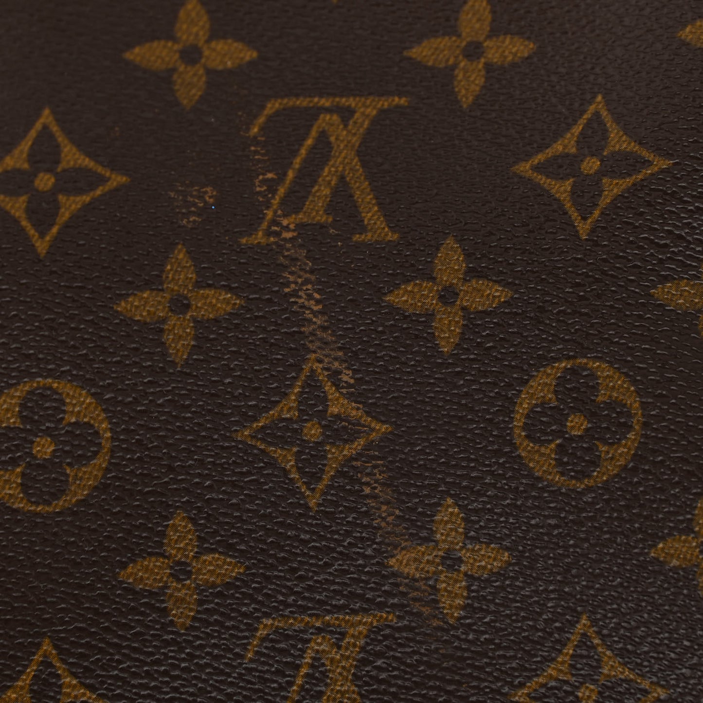 Monogram Mini Looping