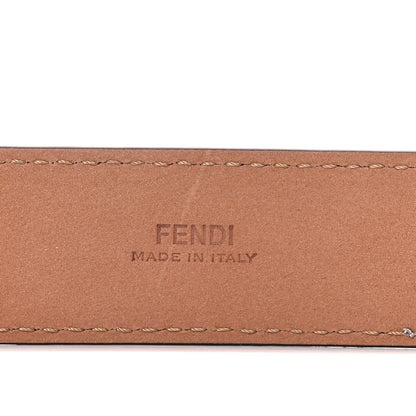 Fendi Vitello Catalan Mirror Multi Accessory Belt Argento 15 of 15