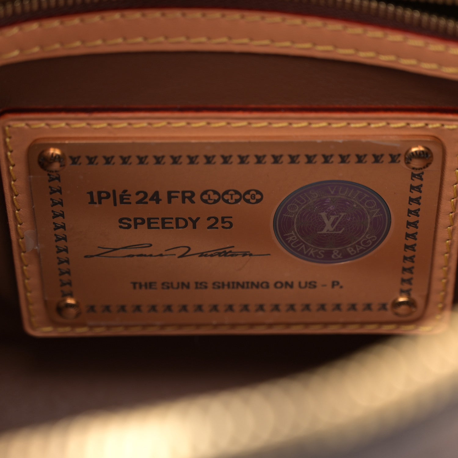 Louis Vuitton Calfskin Monogram Speedy P9 Bandouliere 25 7 of 14