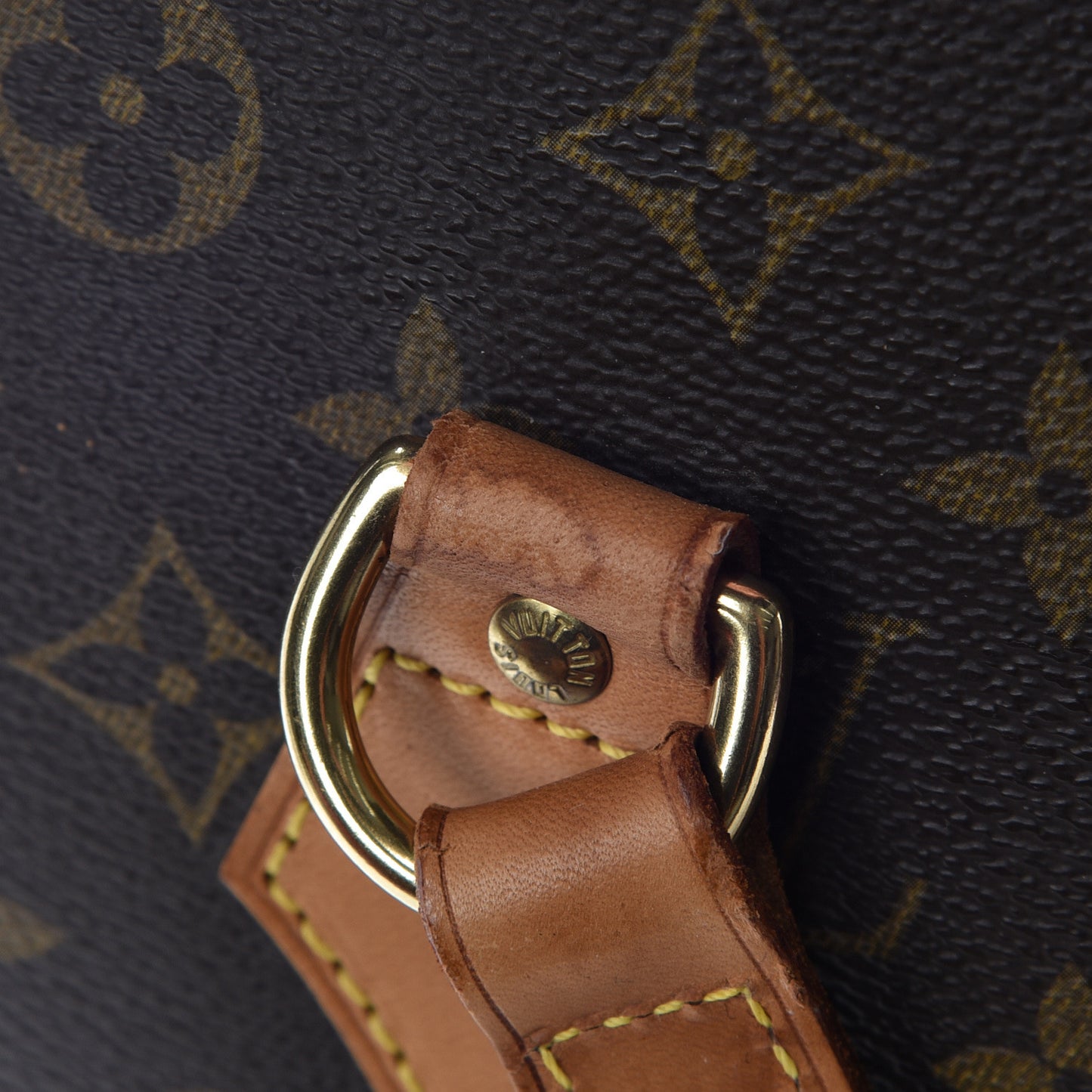 Monogram Ellipse GM Shopping Bag