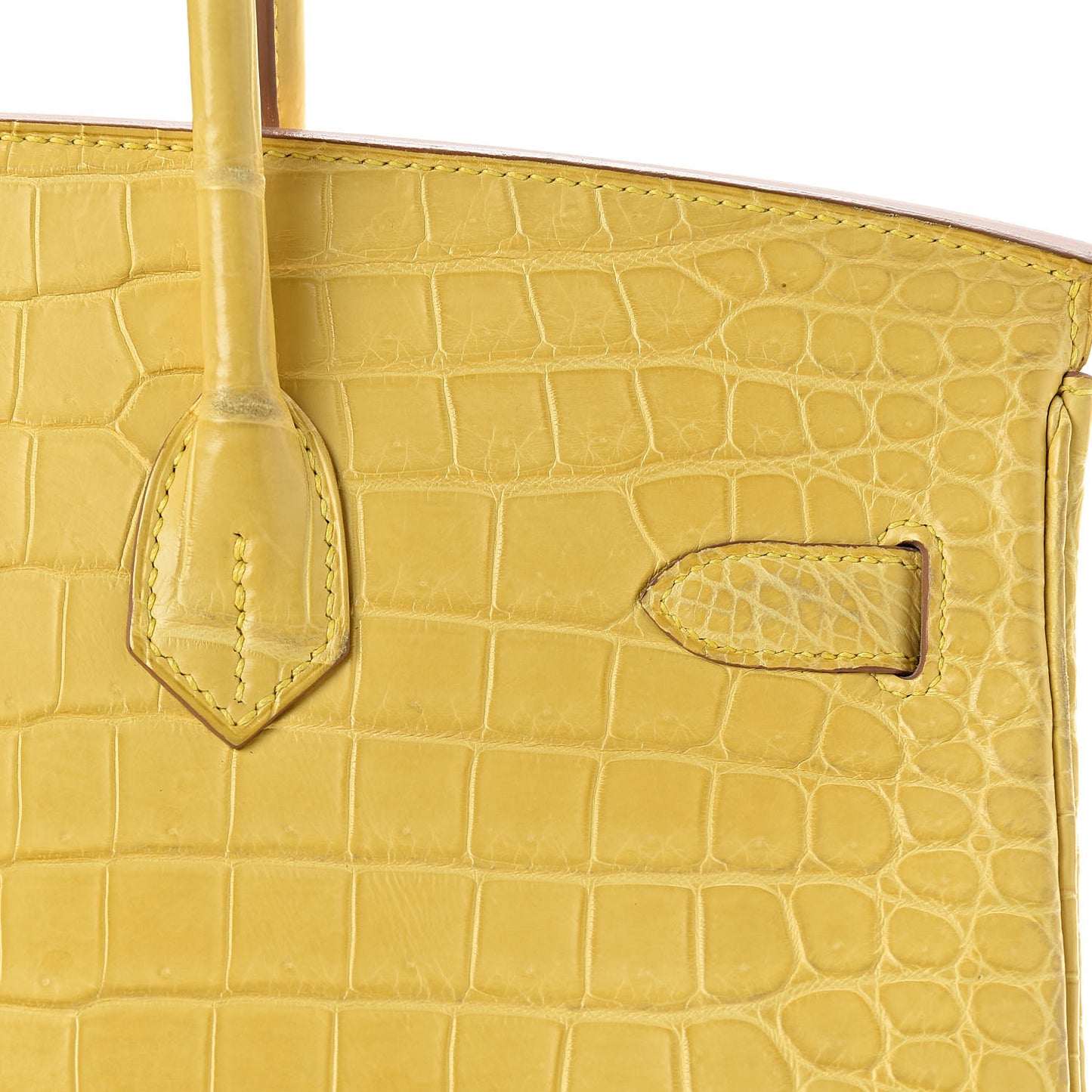 Matte Porosus Crocodile Birkin 35 Mimosa