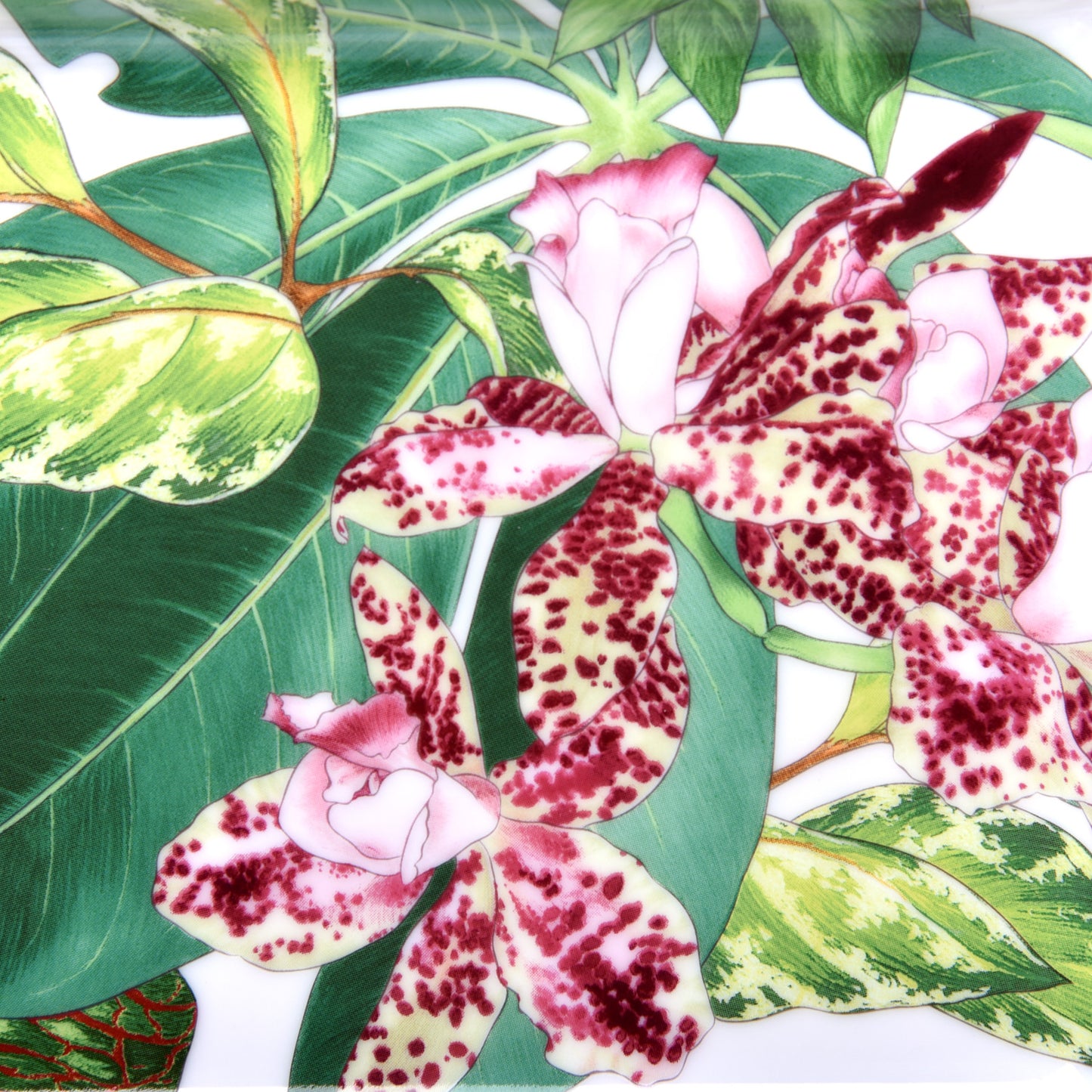 Porcelain Small Passifolia Tray N°1