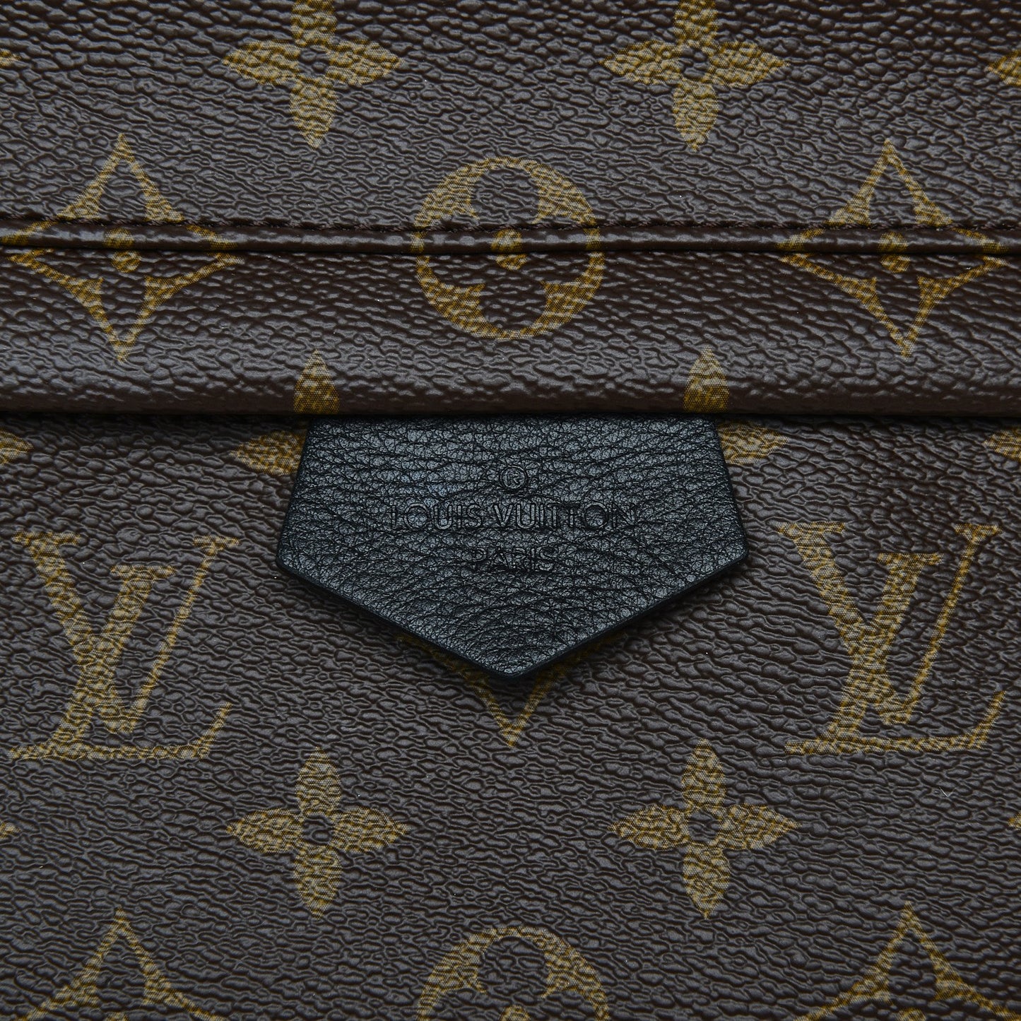Monogram Palm Springs Backpack MM
