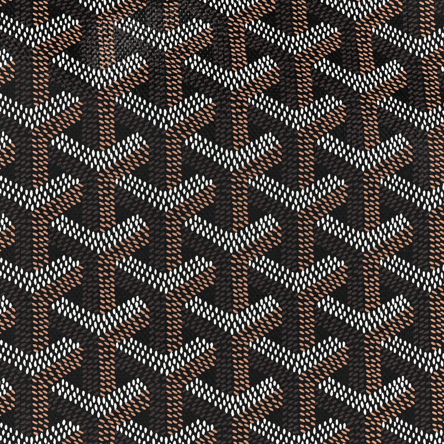 Goyard Goyardine Saint Louis PM Black Gold 10 of 12