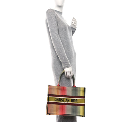 Christian Dior Canvas Embroidered Medium Dioraura Book Tote Multicolor 2 of 15