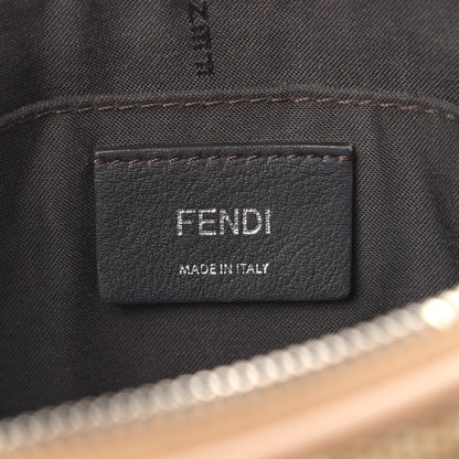 Fendi Paglia Vitello Dolce Flowerland Studded Striped Mini By The Way Boston Bag Natural Cuoio Multicolor 6 of 9