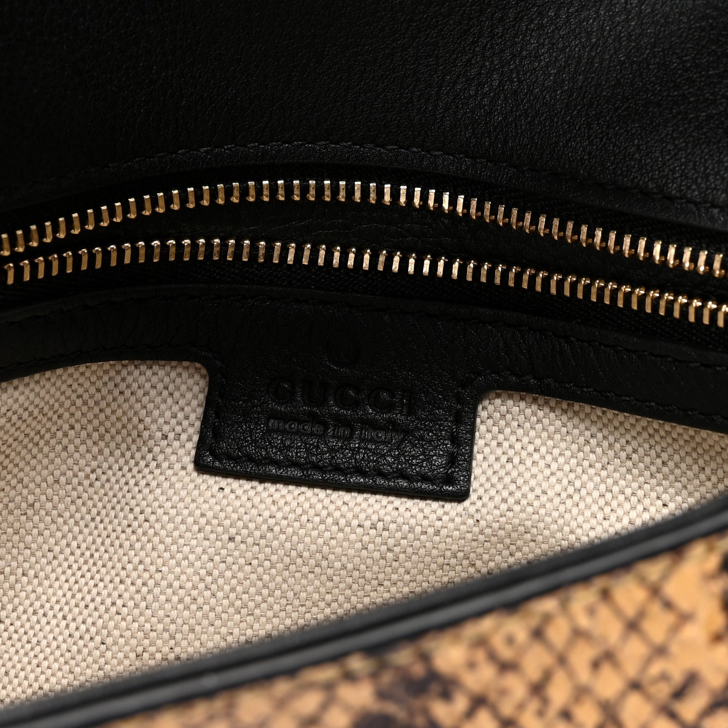 Roxy Snakeskin Blondie Chain Shoulder Flap Bag Roccia
