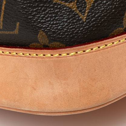 Louis Vuitton Monogram Petit Noe NM 24 of 24