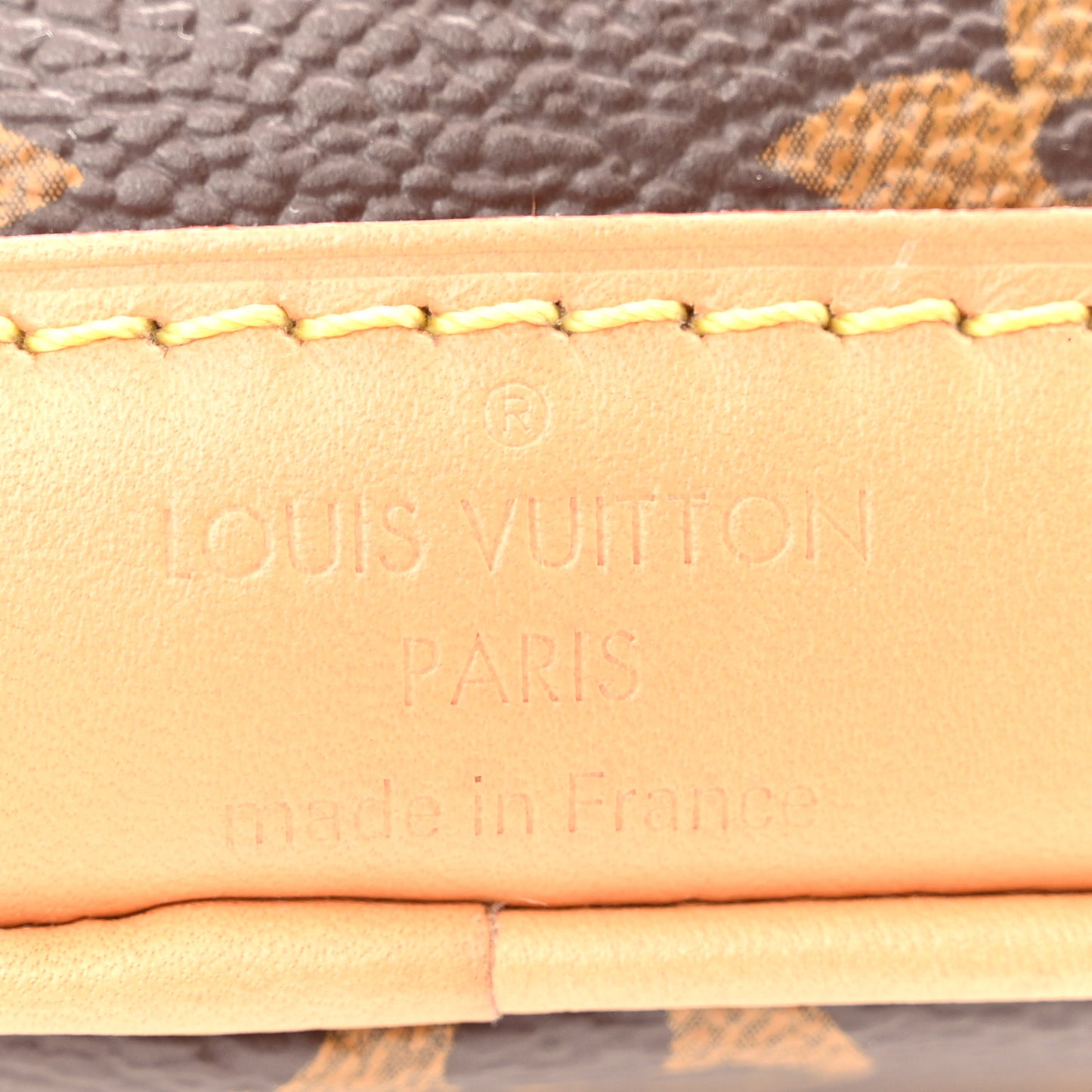 Monogram Nano Noe NV