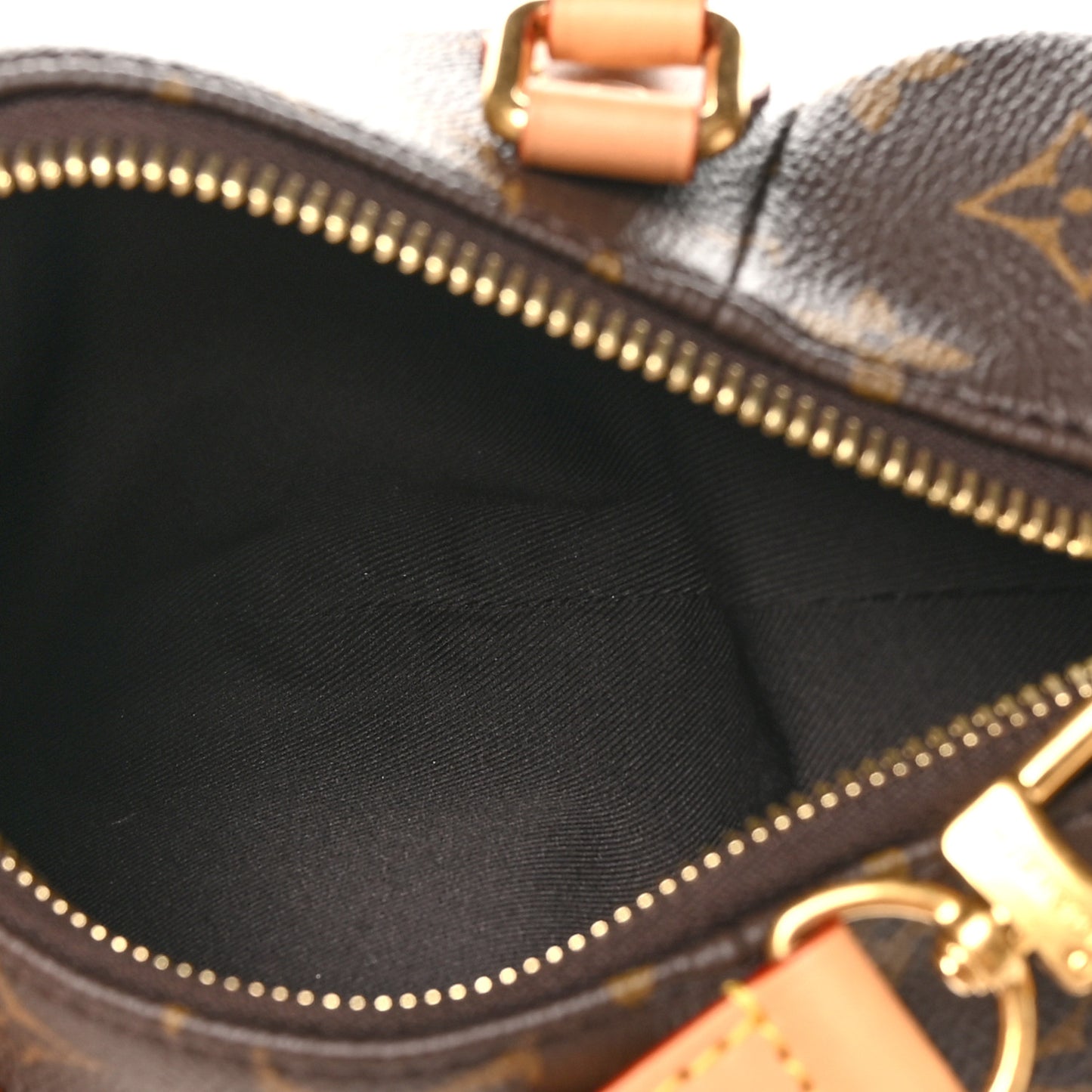 Monogram Pooch Bag