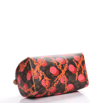 Louis Vuitton Monogram Ramages Speedy 30 Grenade 4 of 7