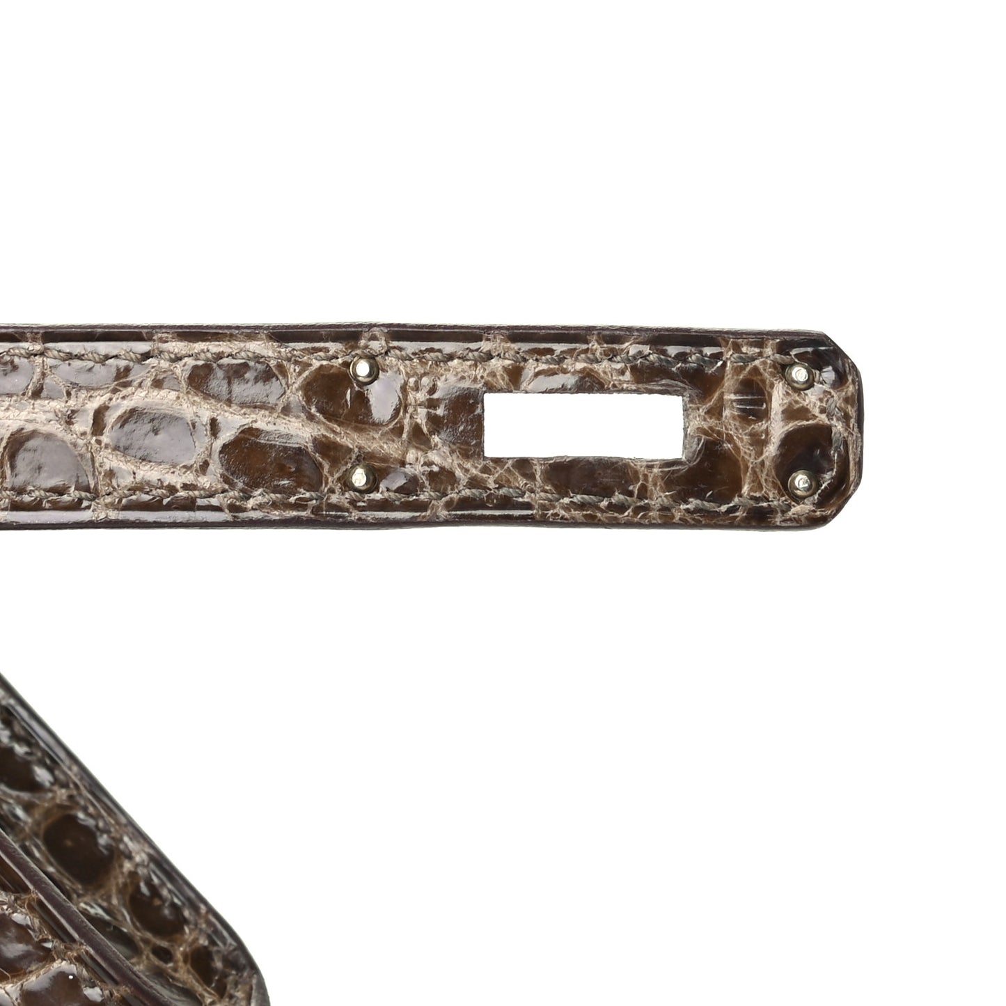 Shiny Porosus Crocodile Kelly Cut Pochette Gris Elephant