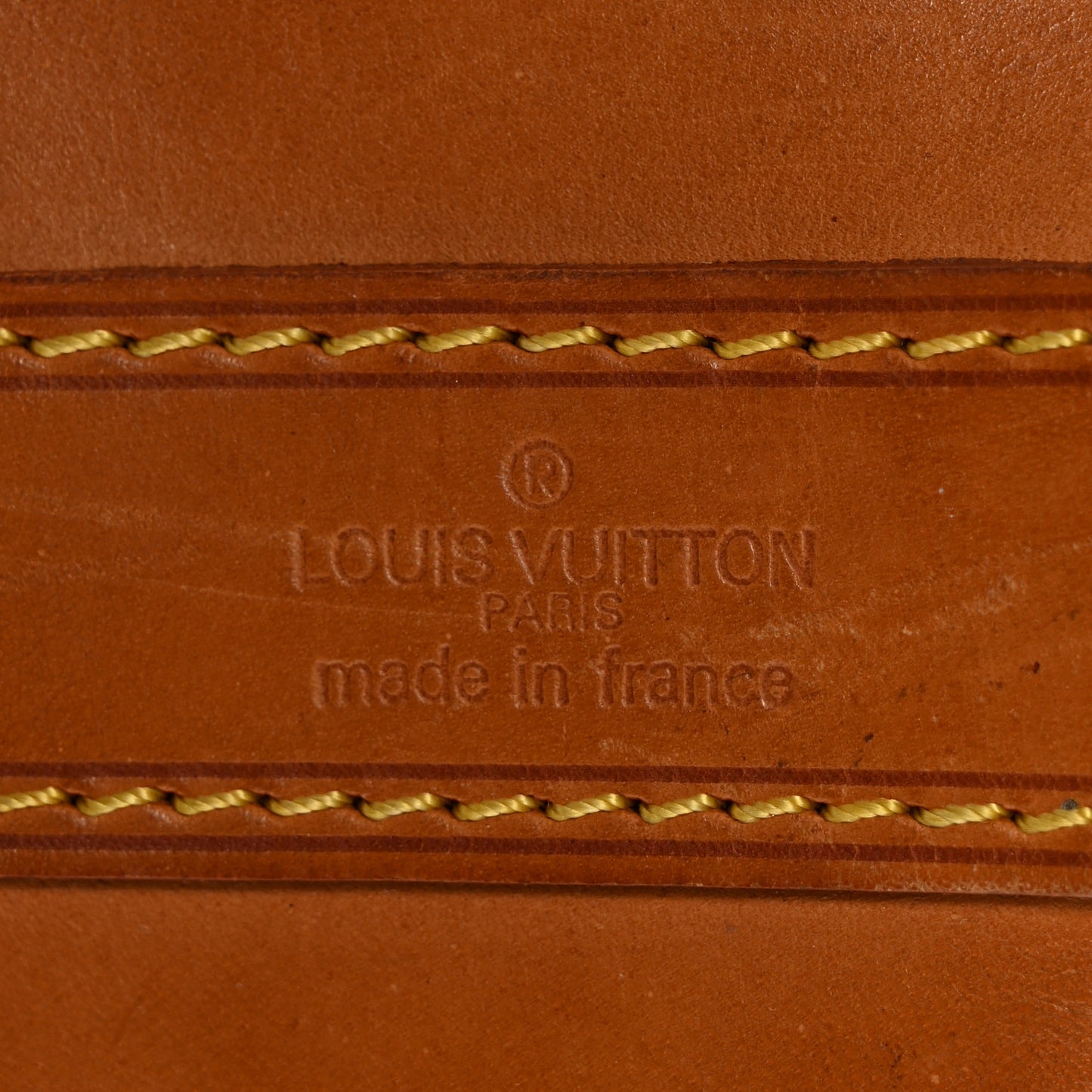 Monogram Randonnee GM Backpack
