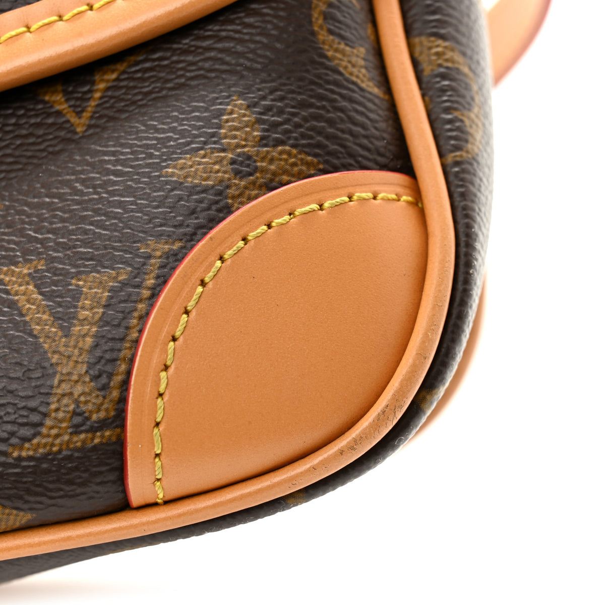 Louis Vuitton Monogram Diane 10 of 13